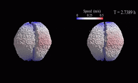 An asteroid disruption event shown here in a stereo gif created by Brian May and Claudia Manzoni.